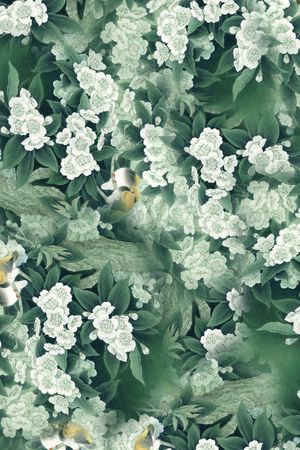 乱花印花华亿平台图片