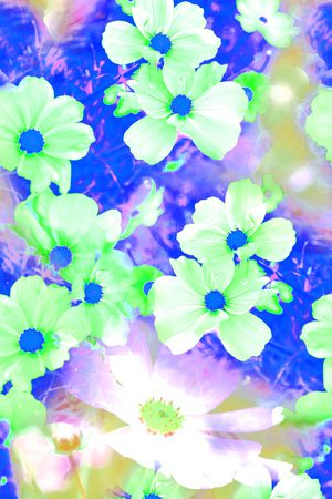 花朵印花华亿平台图片