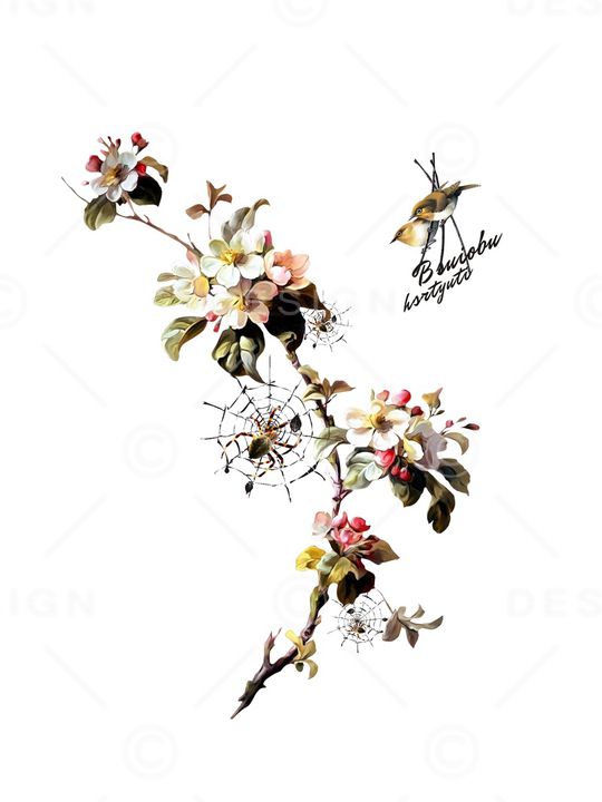 动物印花华亿平台图片