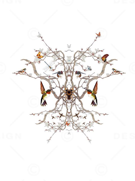 动物印花华亿平台图片