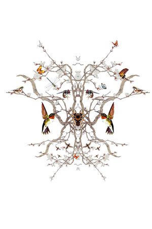 动物印花华亿平台图片