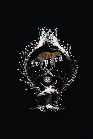 豹子印花华亿平台图片