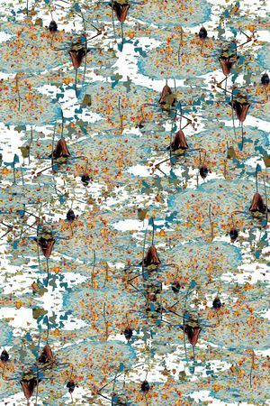 莲叶印花华亿平台图片