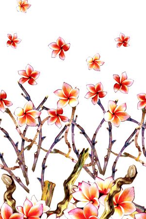 水彩印花华亿平台图片