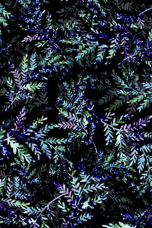 水彩印花华亿平台图片