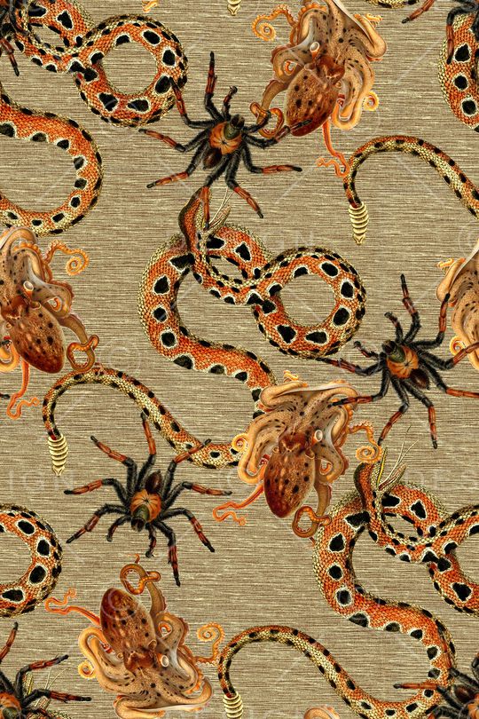 时尚印花华亿平台图片