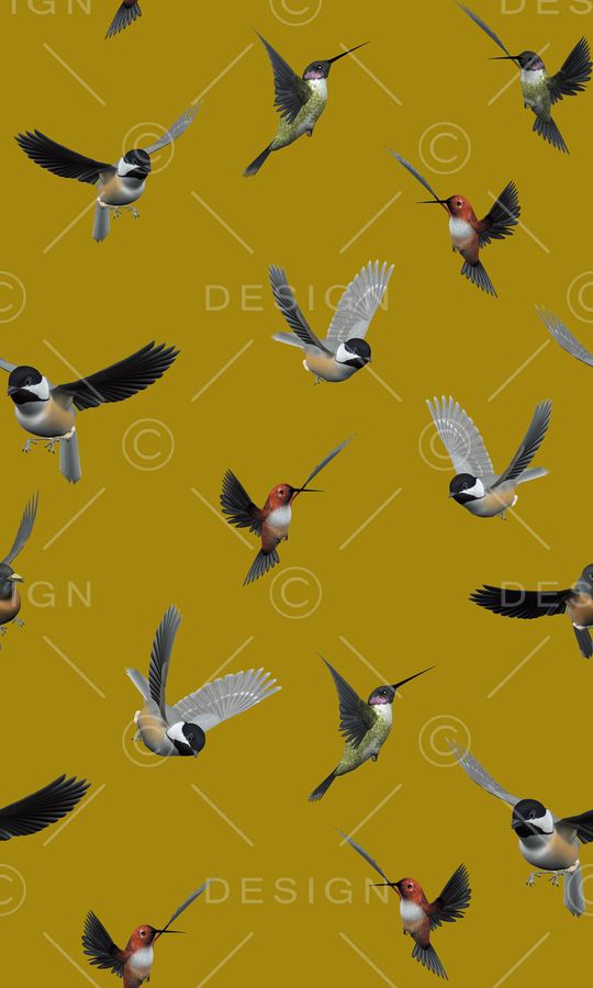 昆虫印花华亿平台图片