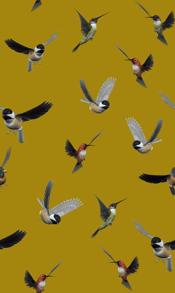 昆虫印花华亿平台图片