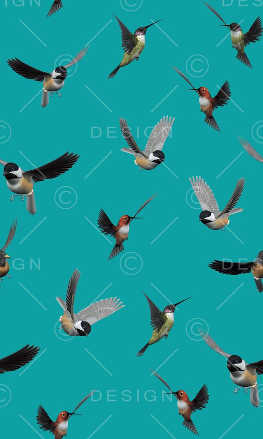 昆虫印花华亿平台图片