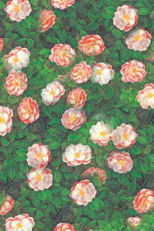 牡丹印花华亿平台图片