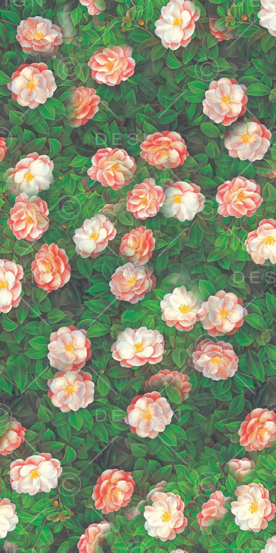 牡丹印花华亿平台图片