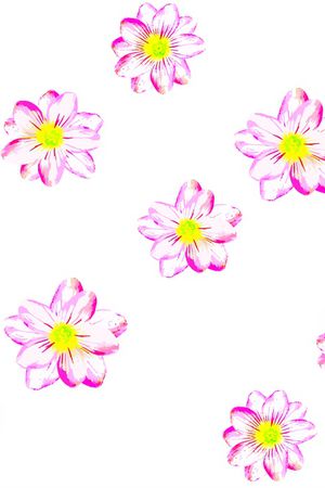 花朵印花华亿平台图片