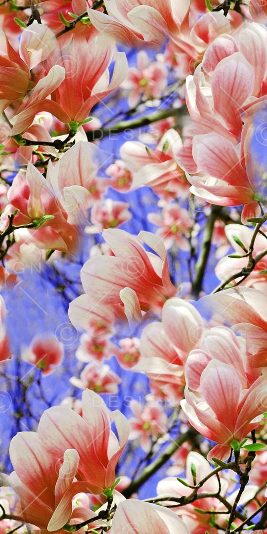 乱花印花华亿平台图片