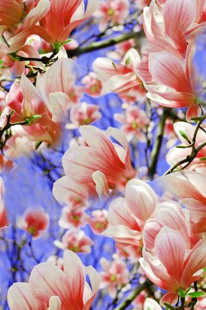 乱花印花华亿平台图片