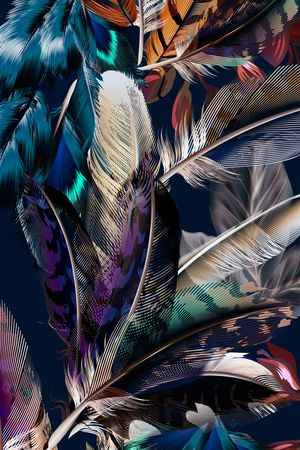 羽毛印花华亿平台图片