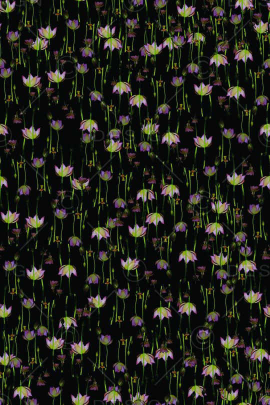 花朵印花华亿平台图片