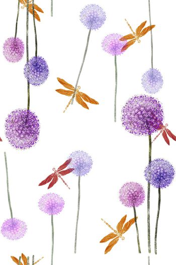 804017-蒲公英_白色