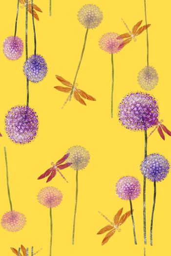 804025-蒲公英_黄色