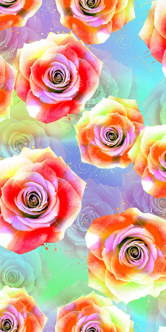 玫瑰印花华亿平台图片