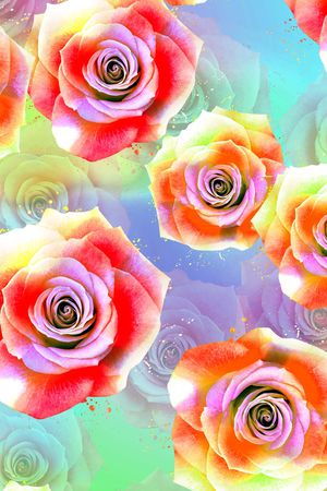 玫瑰印花华亿平台图片