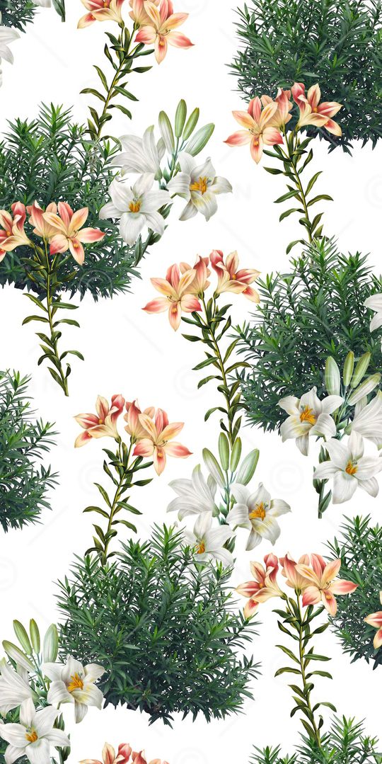 玉兰花印花华亿平台图片