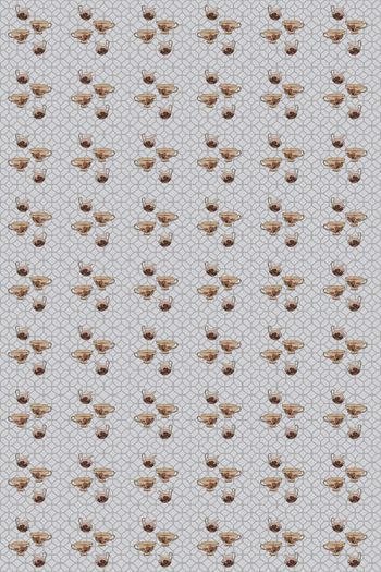 804455-美丽杯子2