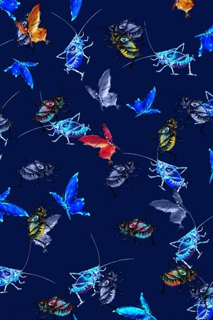 女装印花华亿平台图片