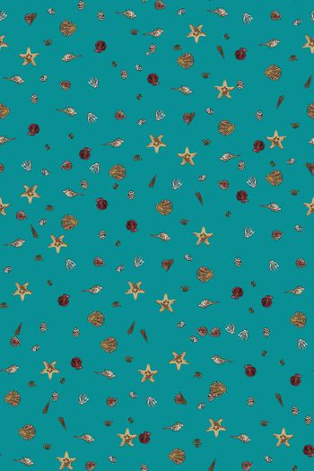 805180-贝壳组合1