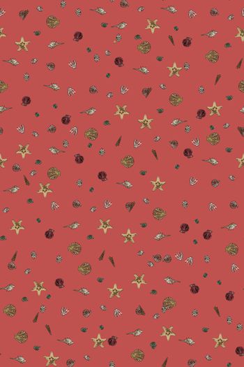 805181-贝壳组合2