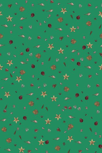 805183-贝壳组合3