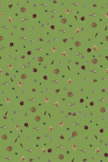 805185-贝壳组合4