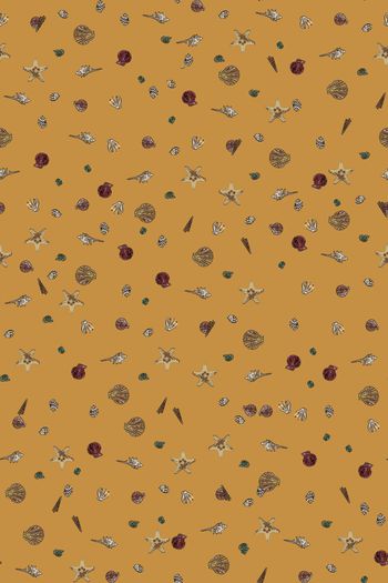 805186-贝壳组合5