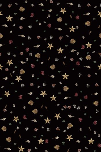 805188-贝壳组合6