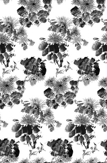 805193-水墨菊花 喜鹊--2