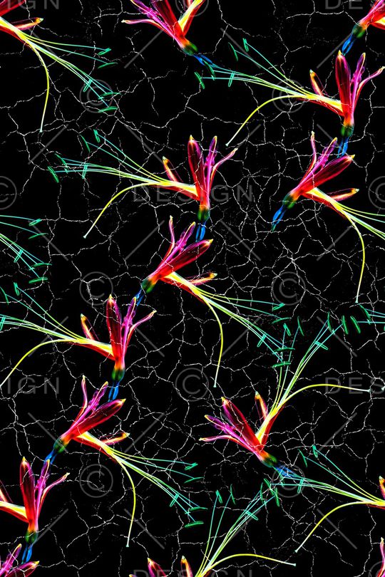 清新女装华亿平台印花华亿平台图片