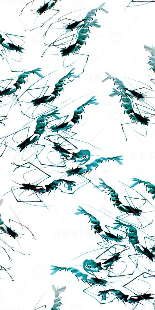 数码印花印花华亿平台图片