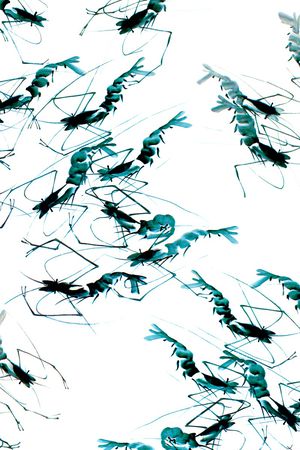 数码印花印花华亿平台图片