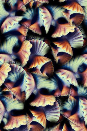 数码印花华亿平台图片