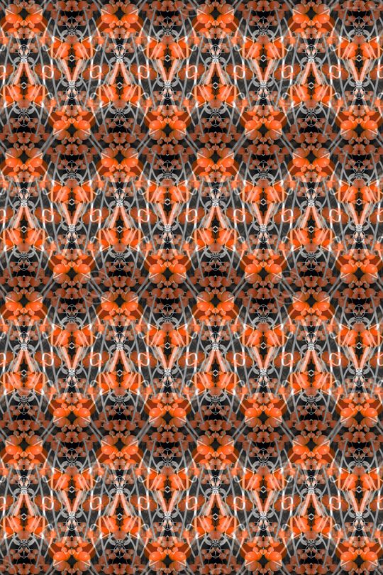 曲线印花华亿平台图片