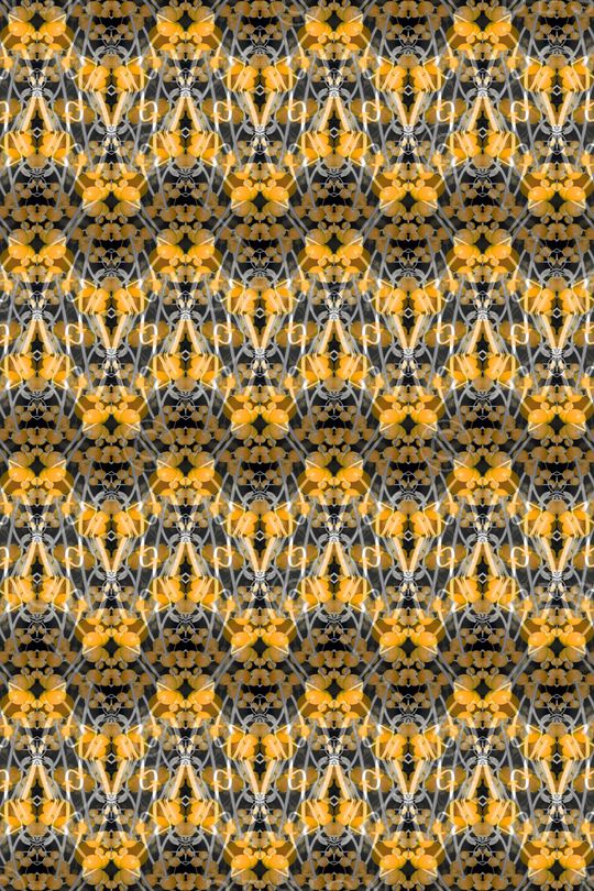 曲线印花华亿平台图片