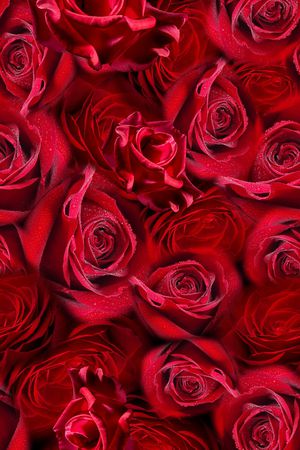 玫瑰花印花华亿平台图片