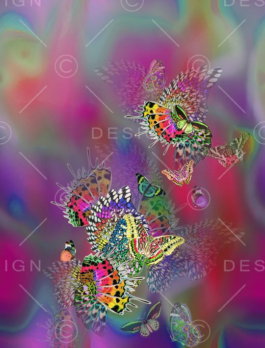 蝴蝶印花华亿平台图片