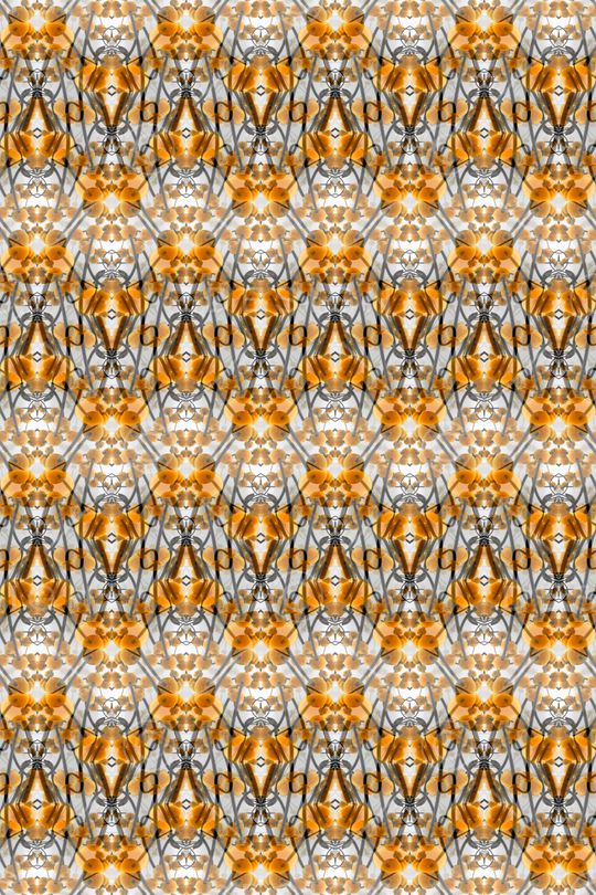 曲线印花华亿平台图片