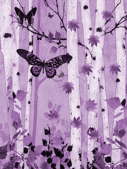 树林印花华亿平台图片