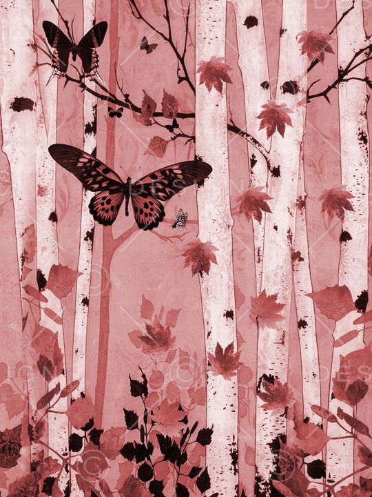 树林印花华亿平台图片