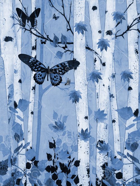 树林印花华亿平台图片