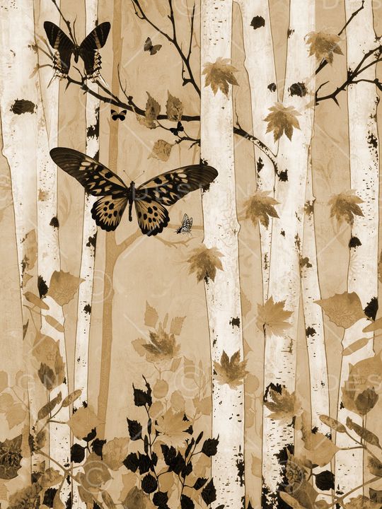 树林印花华亿平台图片