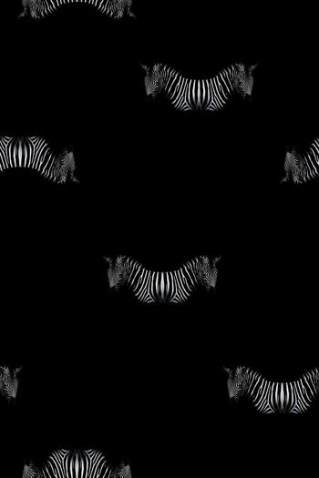 斑马印花华亿平台图片