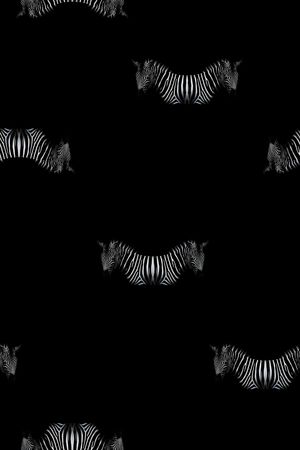 斑马印花华亿平台图片