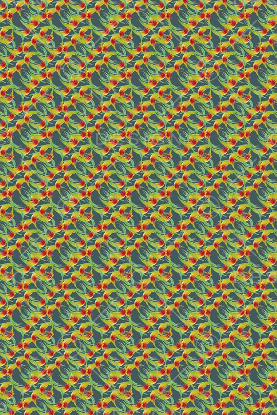 热带鱼印花华亿平台图片